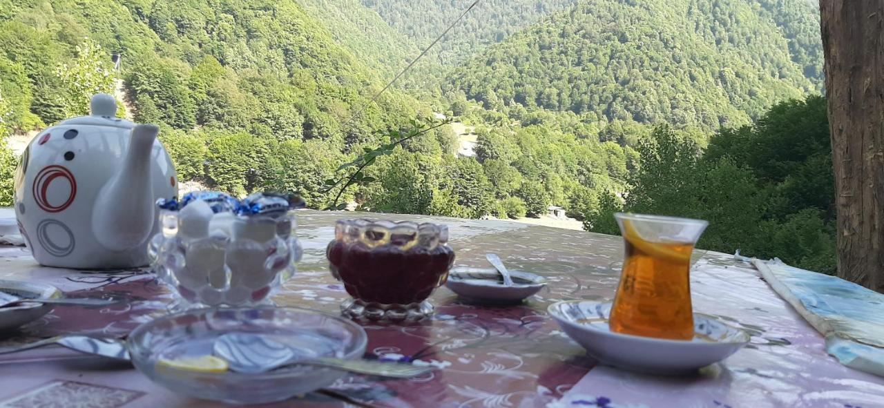 Gabala Mountains Villa Eksteriør billede